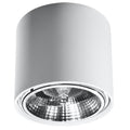 Lampa de tavan TIUBE alba