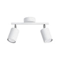 Lampa de tavan LEMMI 2 alba